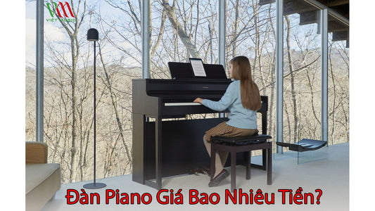 Giá Đàn Piano Bao Nhiêu Tiền?