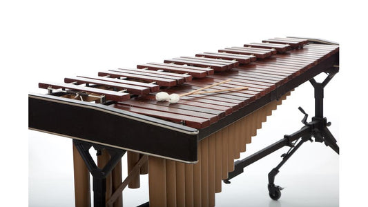 15 Sự Thật Về Đàn Xylophone Có Thể Bạn Chưa Biết