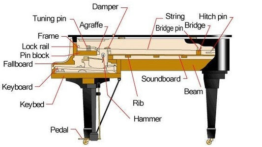 Đàn Piano Hoạt Động Như Thế Nào