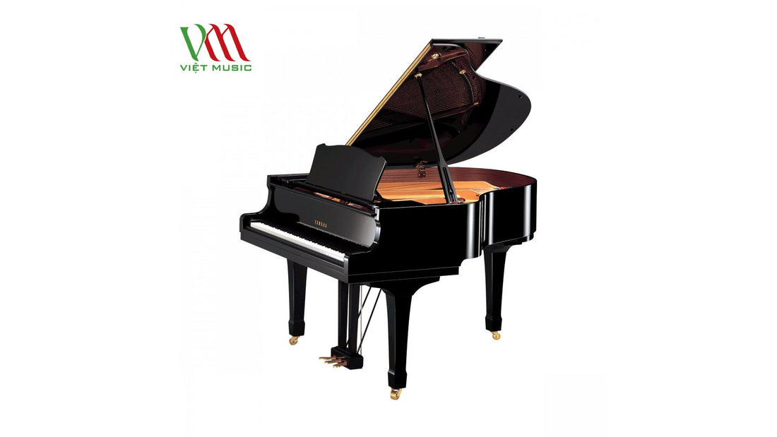 Tìm hiểu và phân loại Đàn Piano