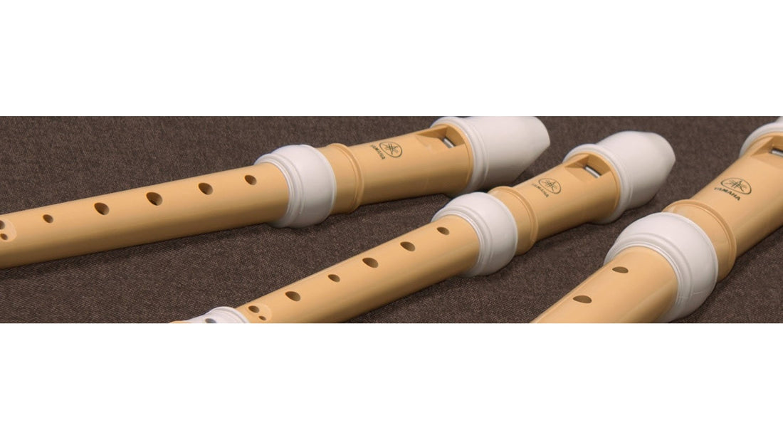 Phân Biệt Hệ Thống Ngón Baroque và German Của Sáo Recorder