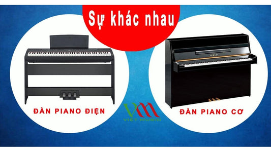 Sự Khác Nhau Giữa Đàn Piano Cơ và Piano Điện