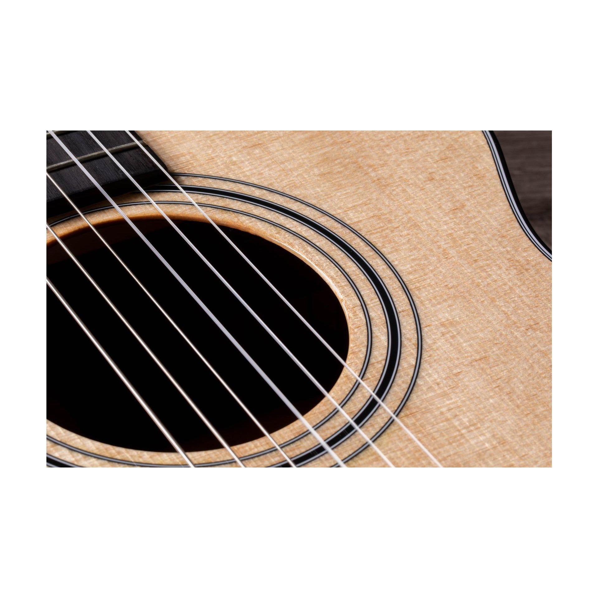 Đàn Guitar Classic Taylor 312CE-N - Grand Concert - Việt Music