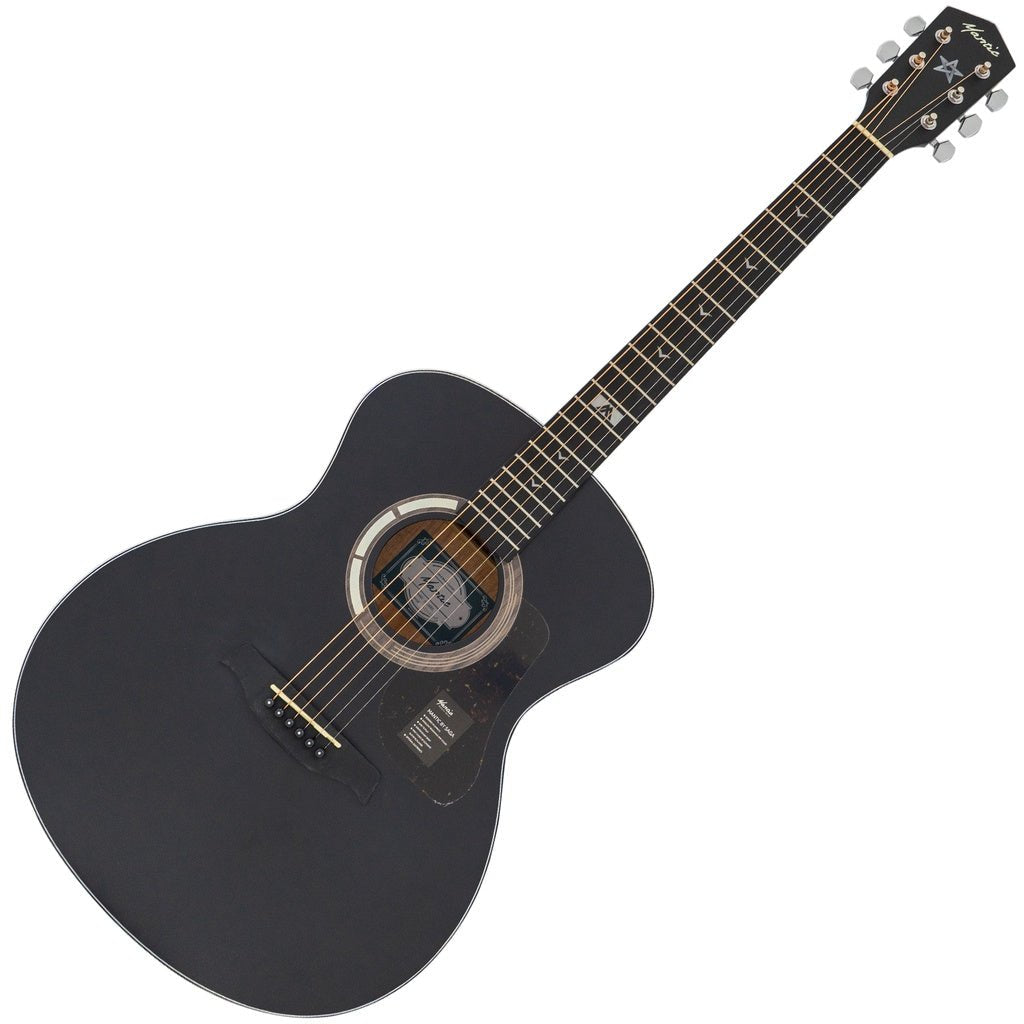 Đàn Guitar Acoustic Mantic GT-1GE - Việt Music