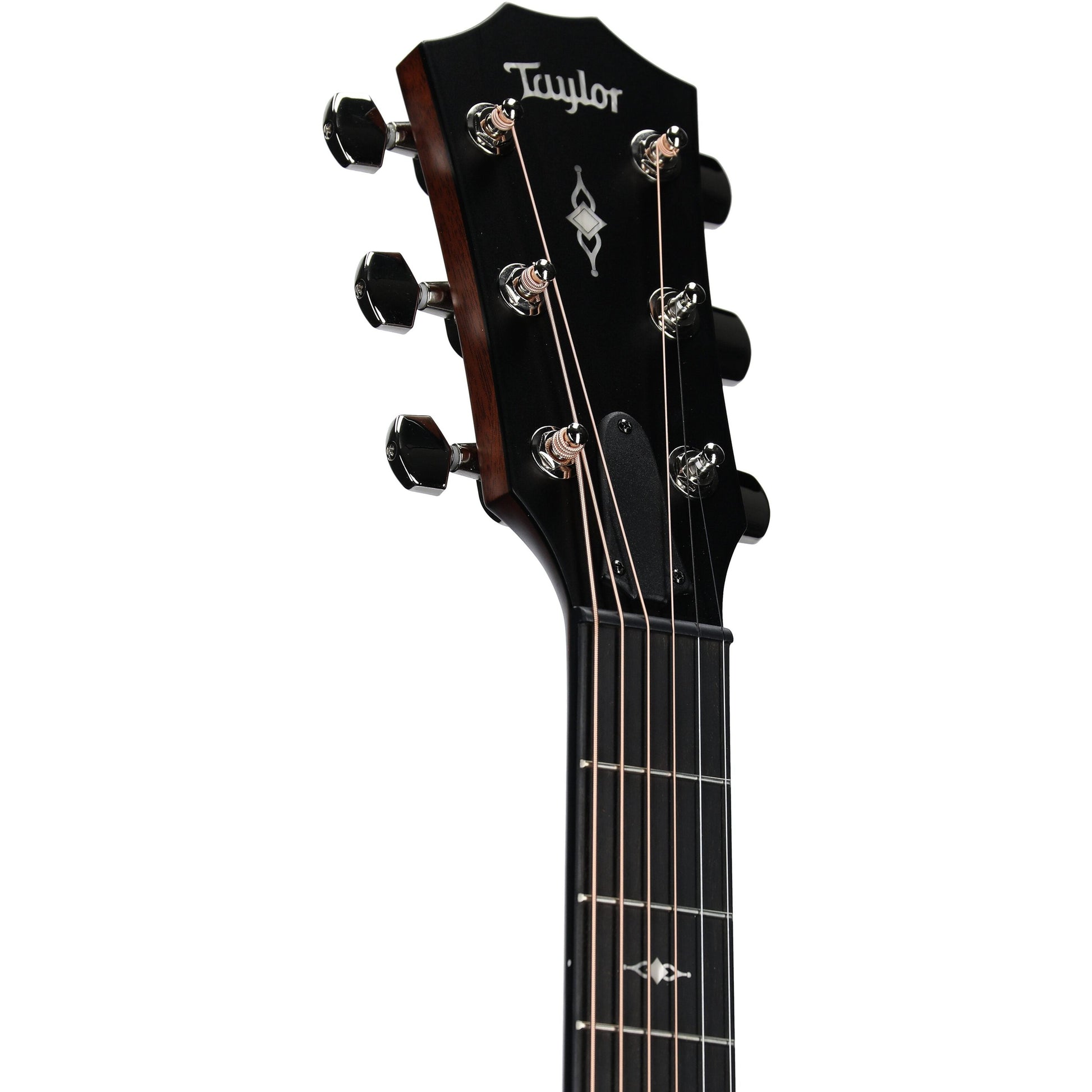 Đàn Guitar Acoustic Taylor 317 - Grand Pacific - Việt Music