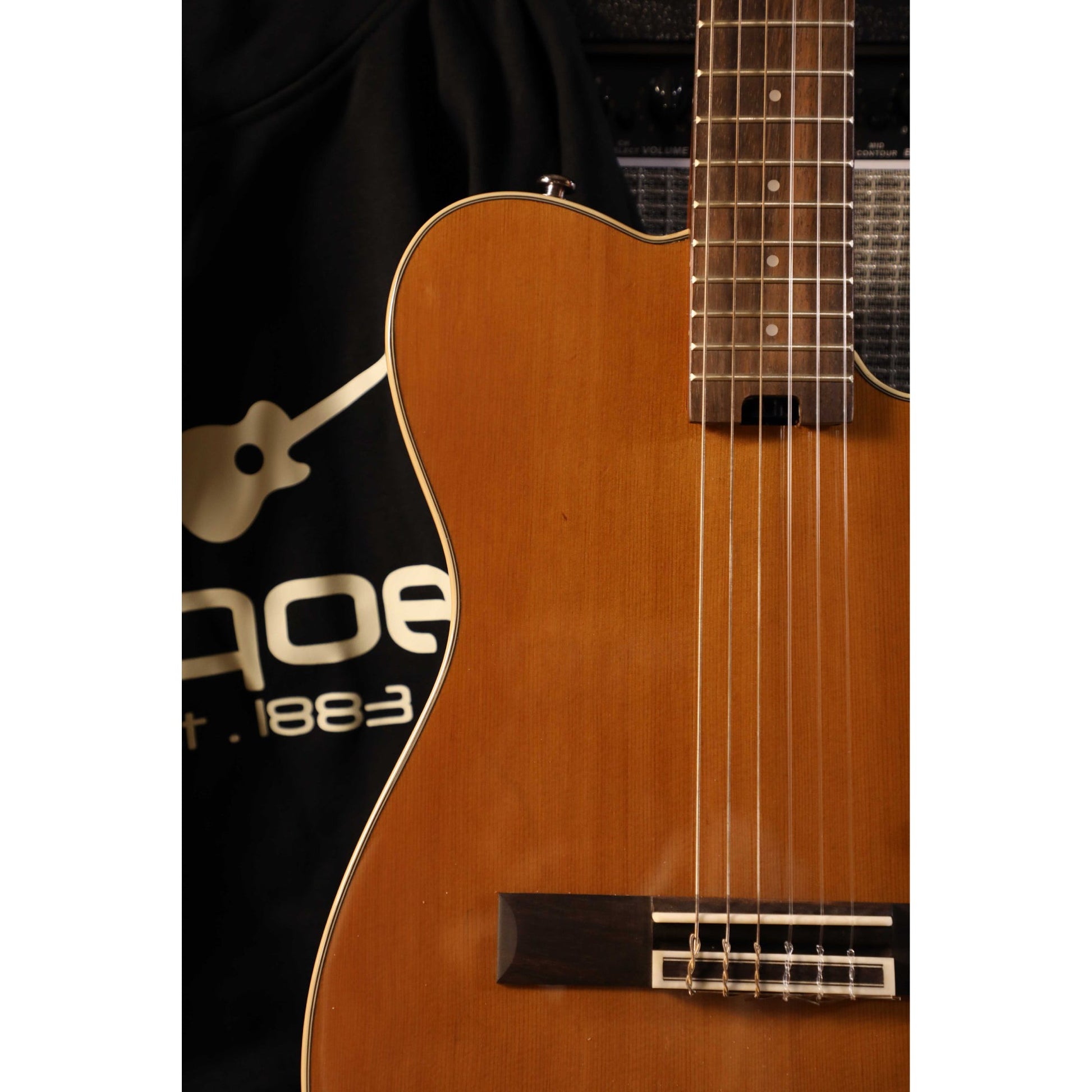 Đàn Guitar Silent Classic Sqoe SEGD600-N - Việt Music