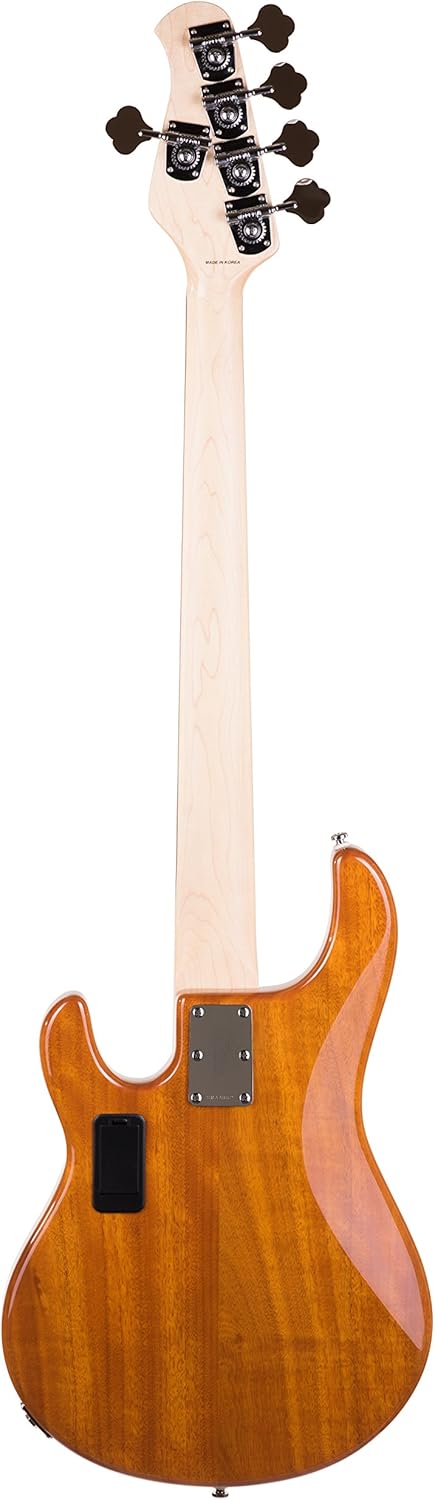 Đàn Guitar Bass Sterling By Music Man StingRay Ray35QM H, Maple Fingerboard - 5 Strings - Việt Music