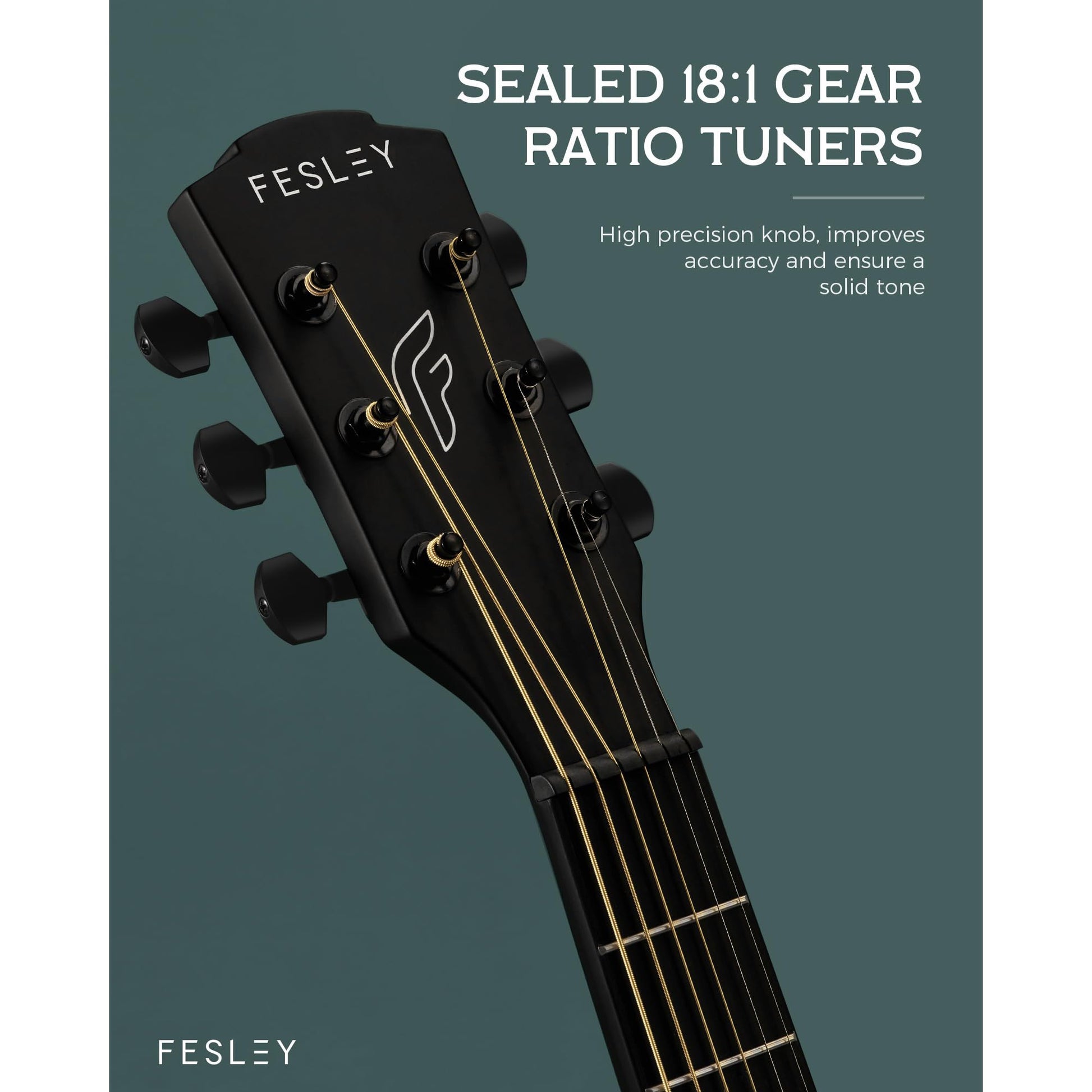 Đàn Guitar Acoustic Fesley FF60 - Việt Music