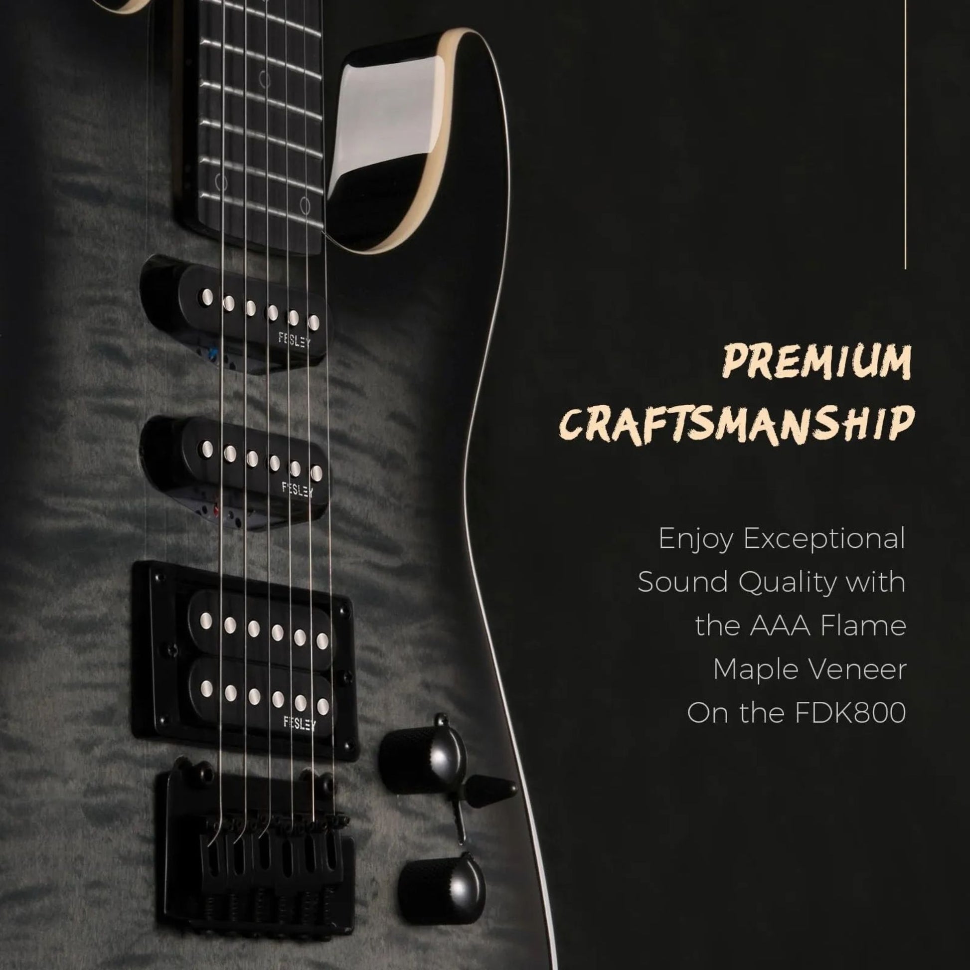 Đàn Guitar Điện Fesley FDK800 HSS, Mixed Fingerboard - Việt Music