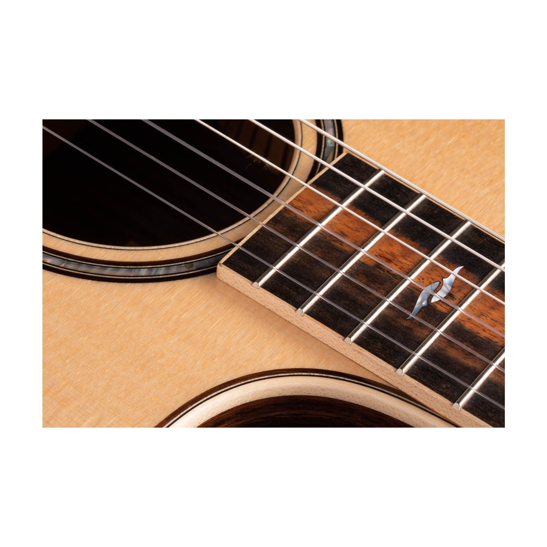 Đàn Guitar Classic Taylor 812CE-N - Grand Concert - Việt Music