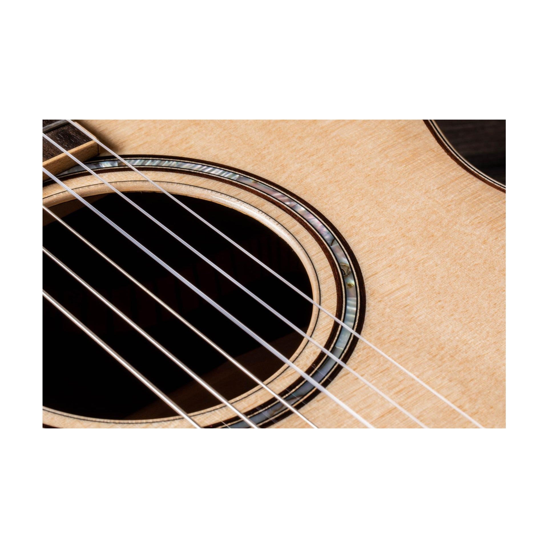 Đàn Guitar Classic Taylor 812CE-N - Grand Concert - Việt Music