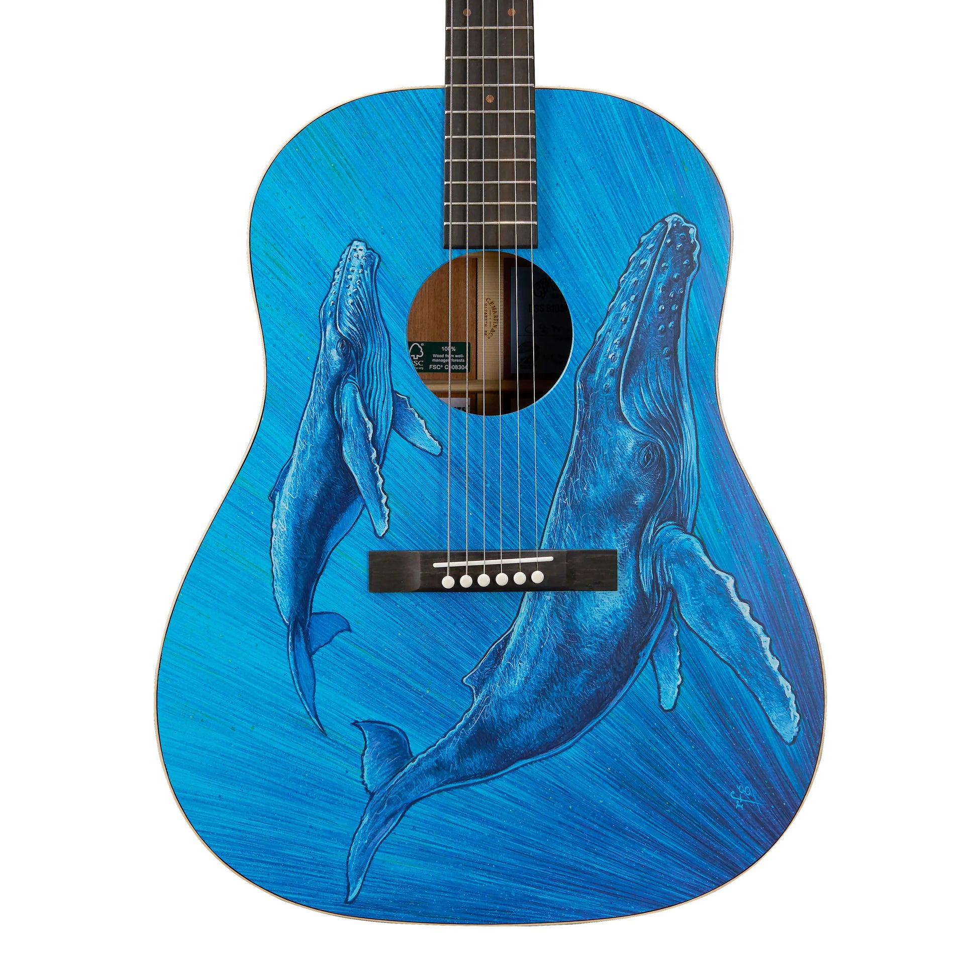 Đàn Guitar Acoustic Martin DSS Biosphere II - Custom & Special Editions Series - Việt Music