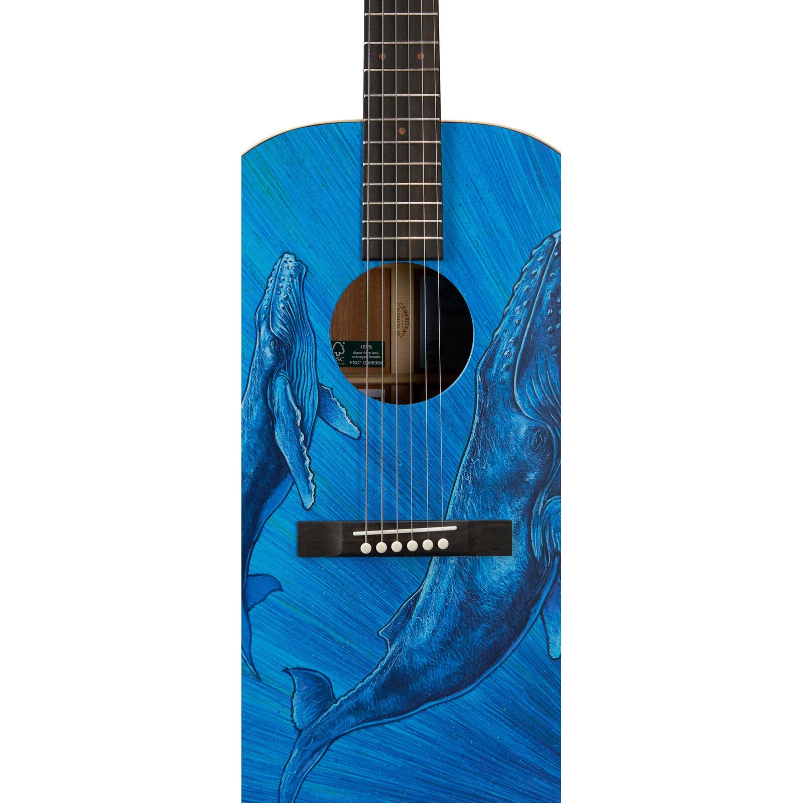 Đàn Guitar Acoustic Martin DSS Biosphere II - Custom & Special Editions Series - Việt Music