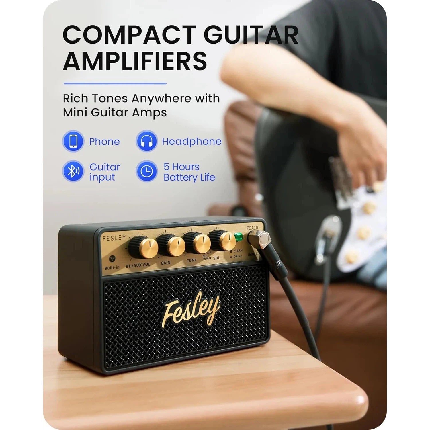 Amplifier Fesley FGA10, Combo - Việt Music