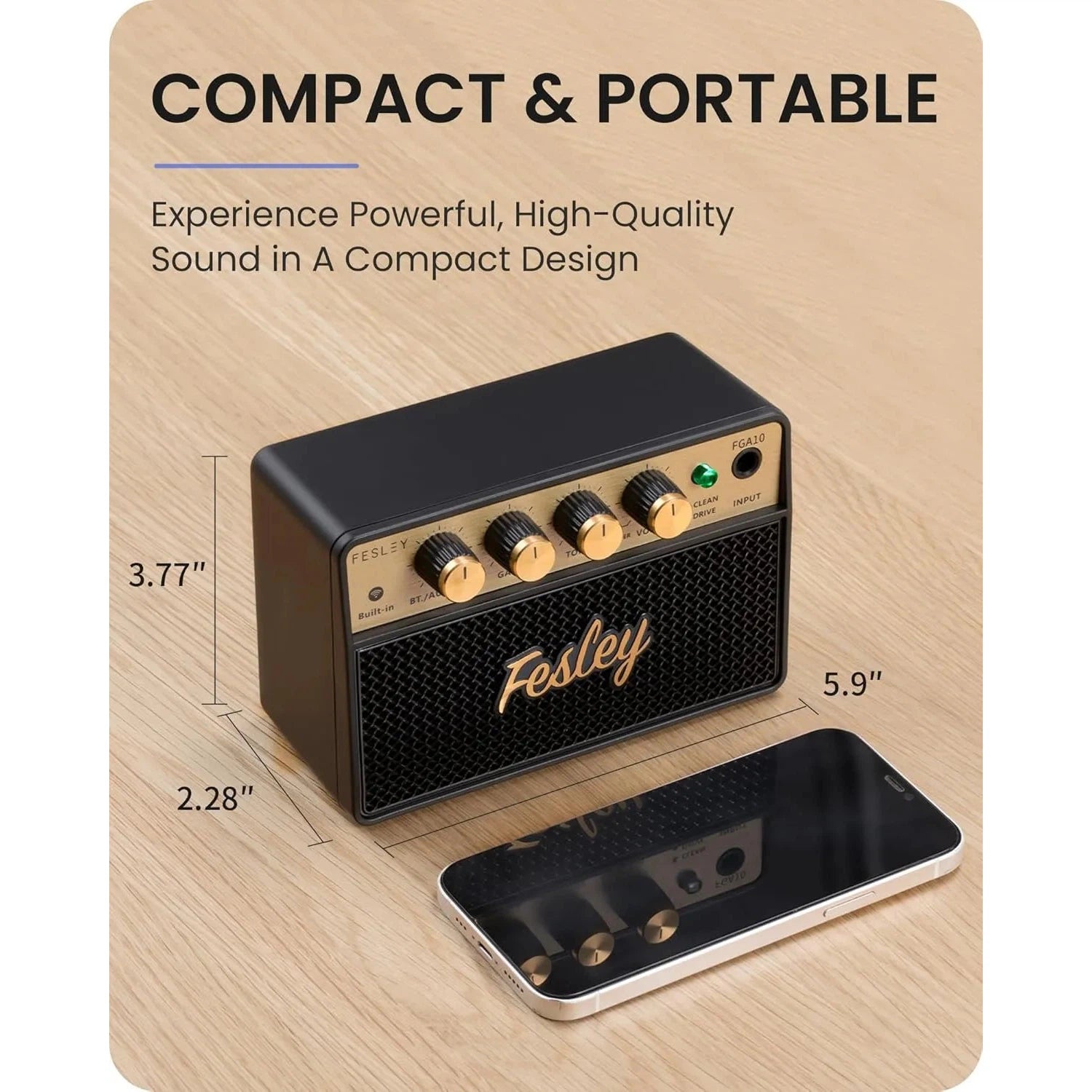 Amplifier Fesley FGA10, Combo - Việt Music