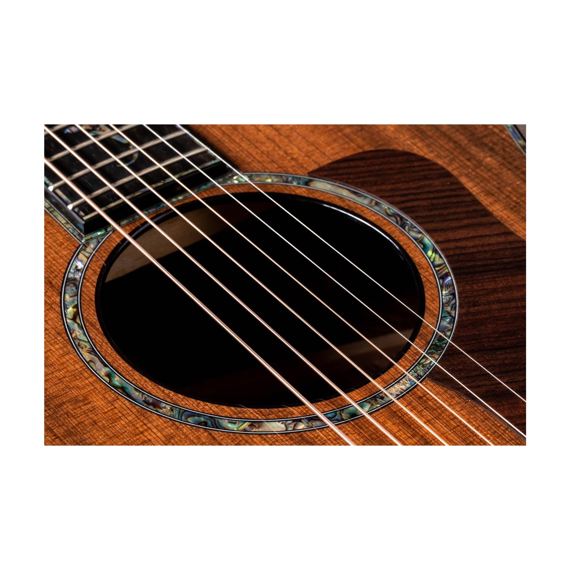 Đàn Guitar Acoustic Taylor PS14CE Honduran Rosewood - Grand Auditorium - Việt Music