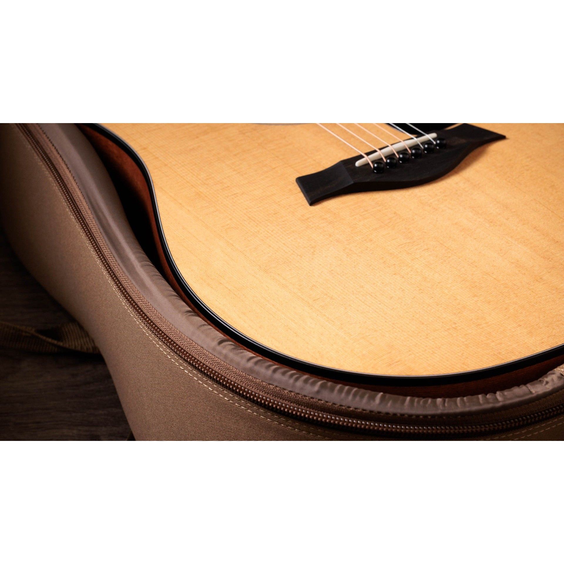 Đàn Guitar Acoustic Taylor 110CE - Dreadnought - Việt Music