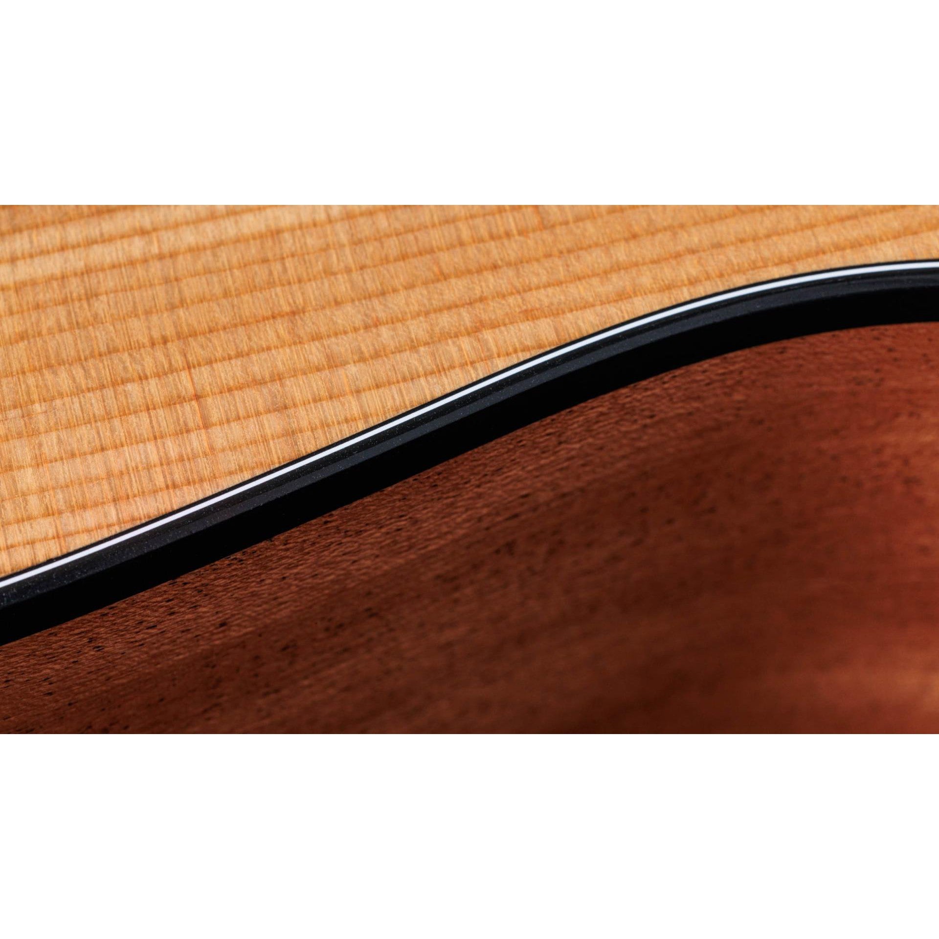 Đàn Guitar Acoustic Taylor 117E - Grand Pacific - Việt Music