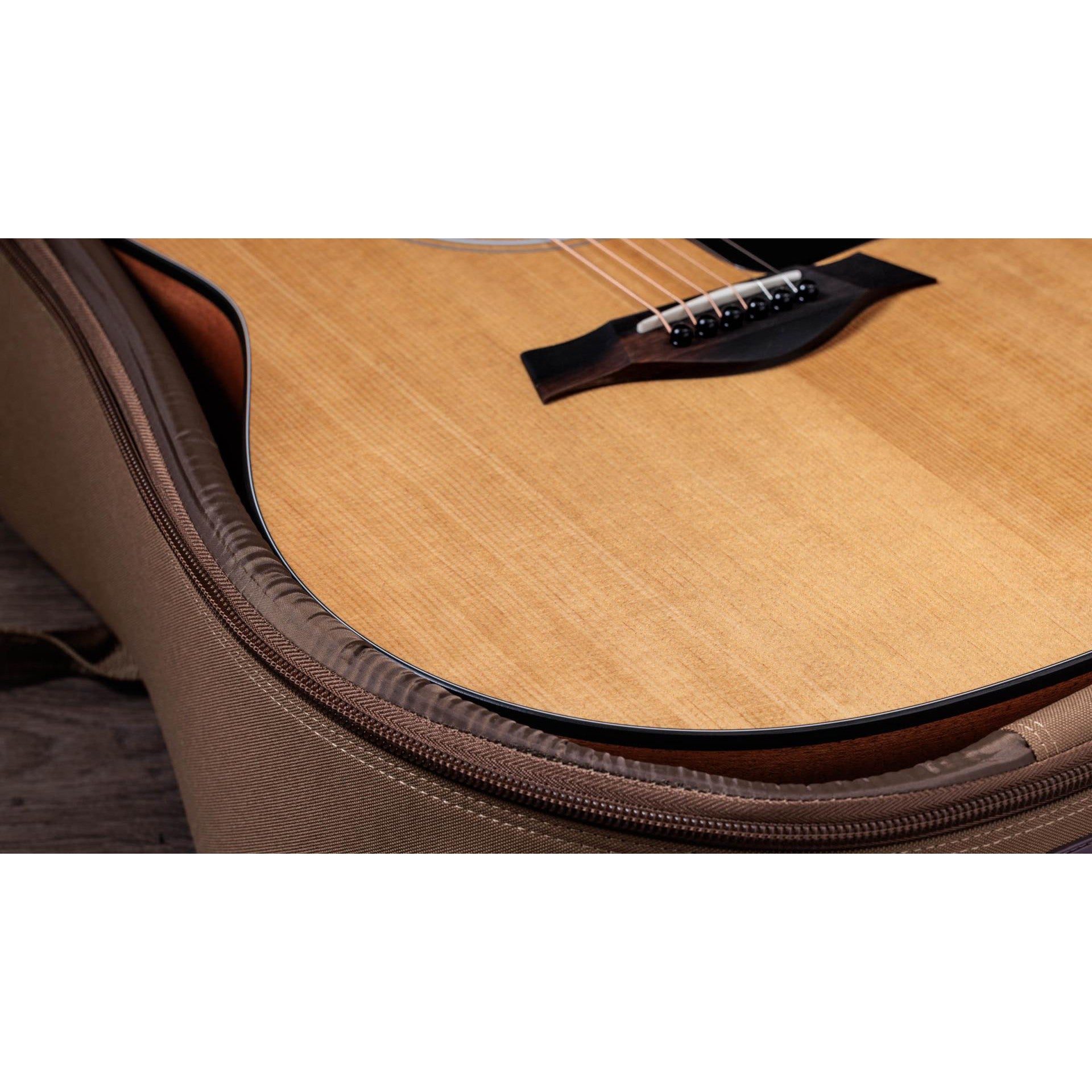 Đàn Guitar Acoustic Taylor 117E - Grand Pacific - Việt Music