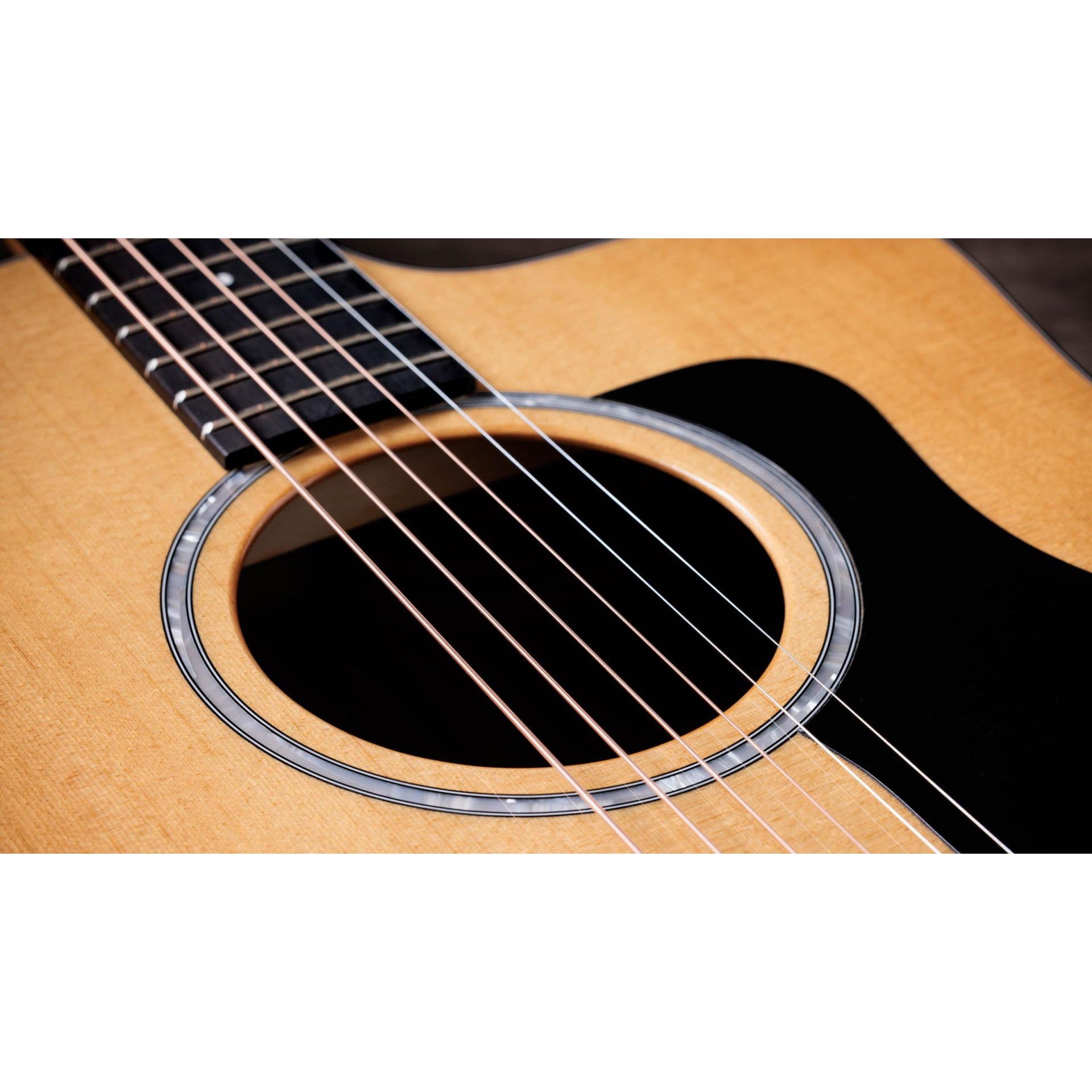 Đàn Guitar Acoustic Taylor 210CE Plus - Dreadnought - Việt Music