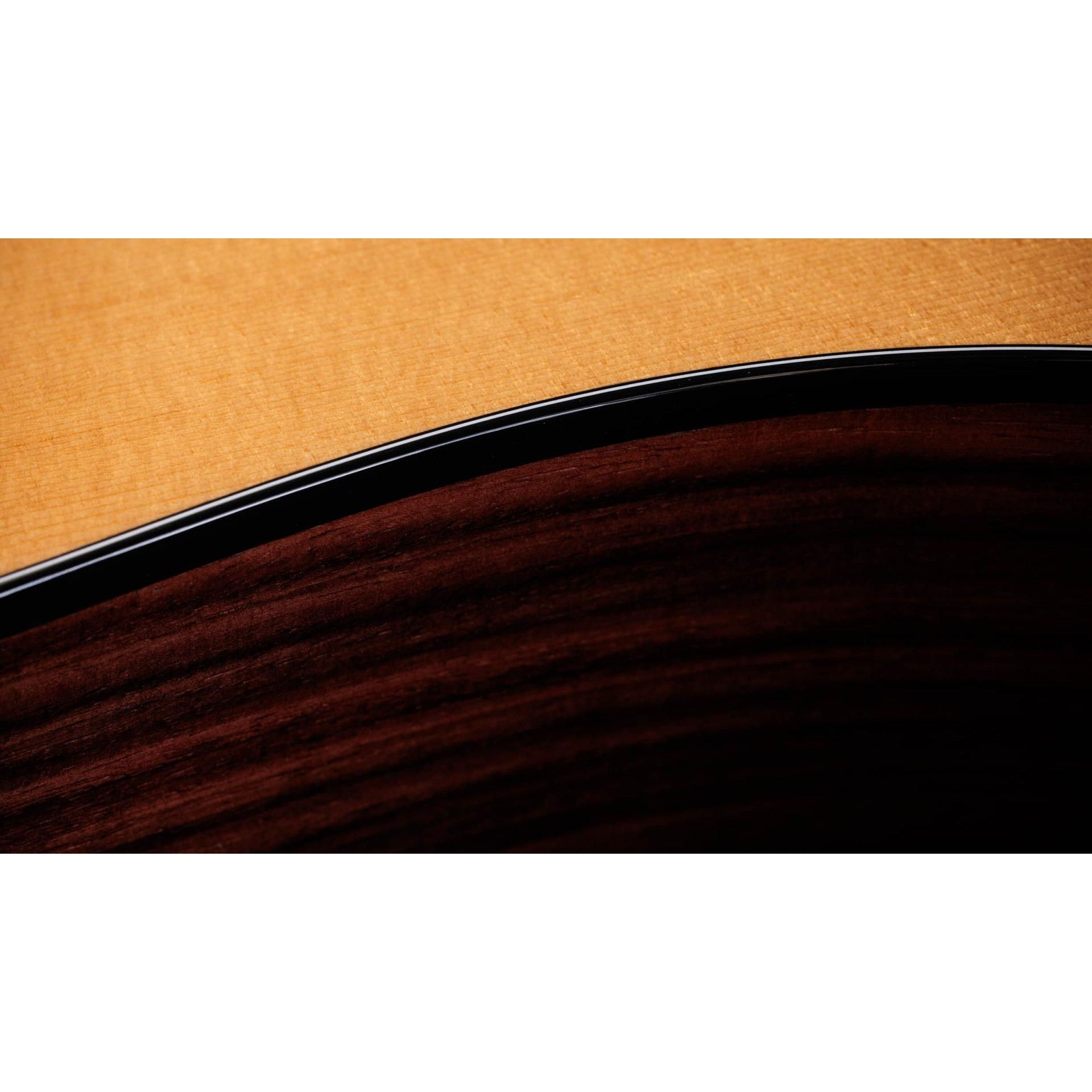 Đàn Guitar Acoustic Taylor 210CE Plus - Dreadnought - Việt Music