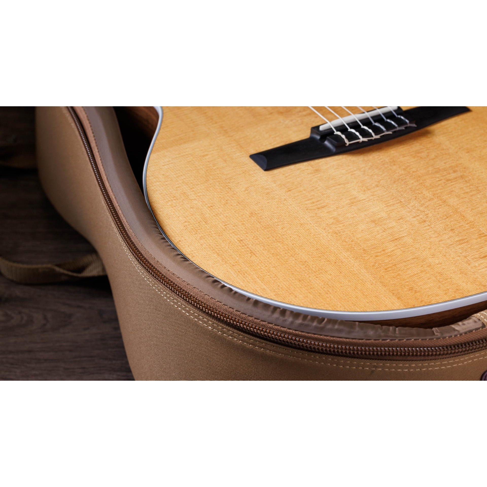 Đàn Guitar Classic Taylor 214CE-N - Grand Auditorium - Việt Music