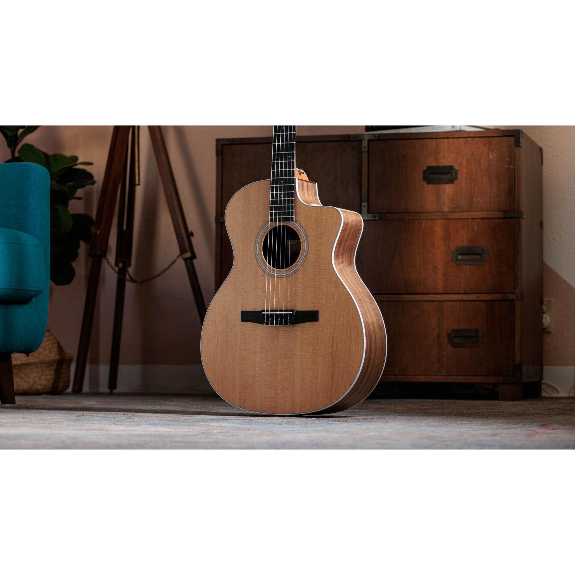 Đàn Guitar Classic Taylor 214CE-N - Grand Auditorium - Việt Music