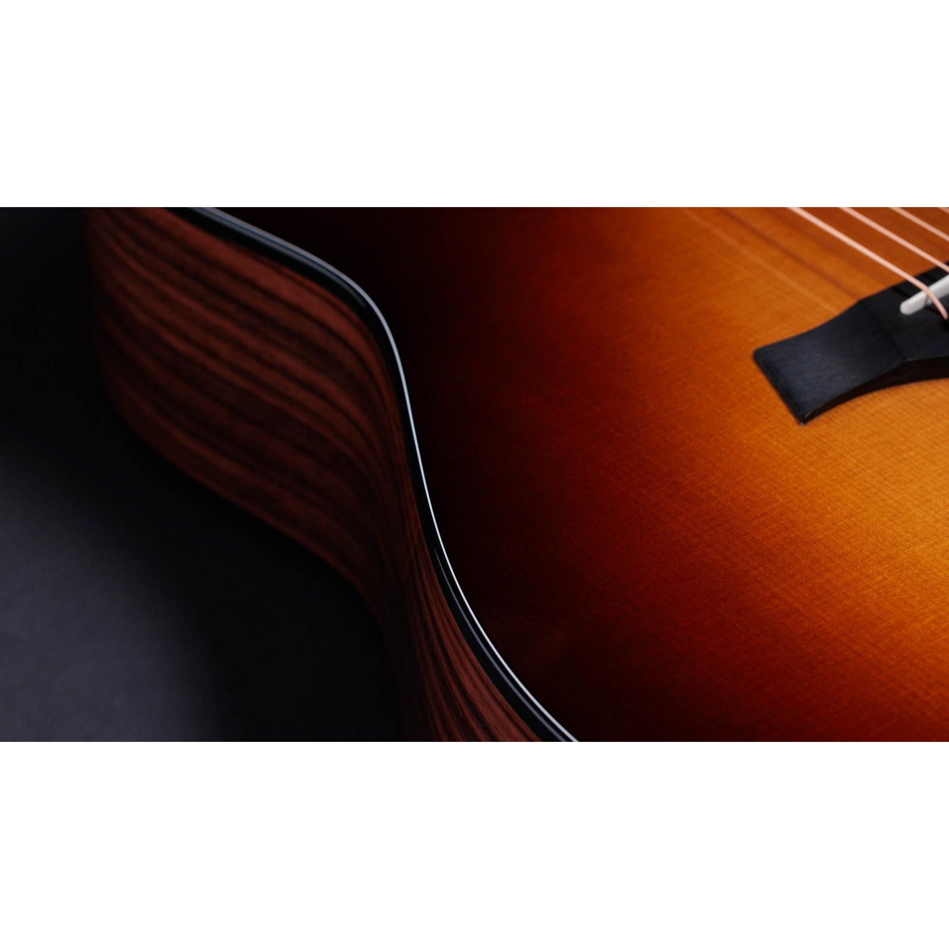 Đàn Guitar Acoustic Taylor 217E-SB Plus LTD - Grand Pacific - Việt Music