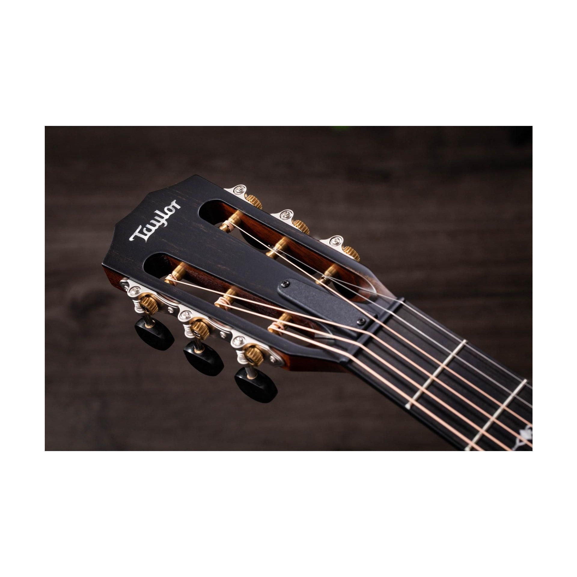 Đàn Guitar Acoustic Taylor 322CE 12-Fret - Grand Concert - Việt Music