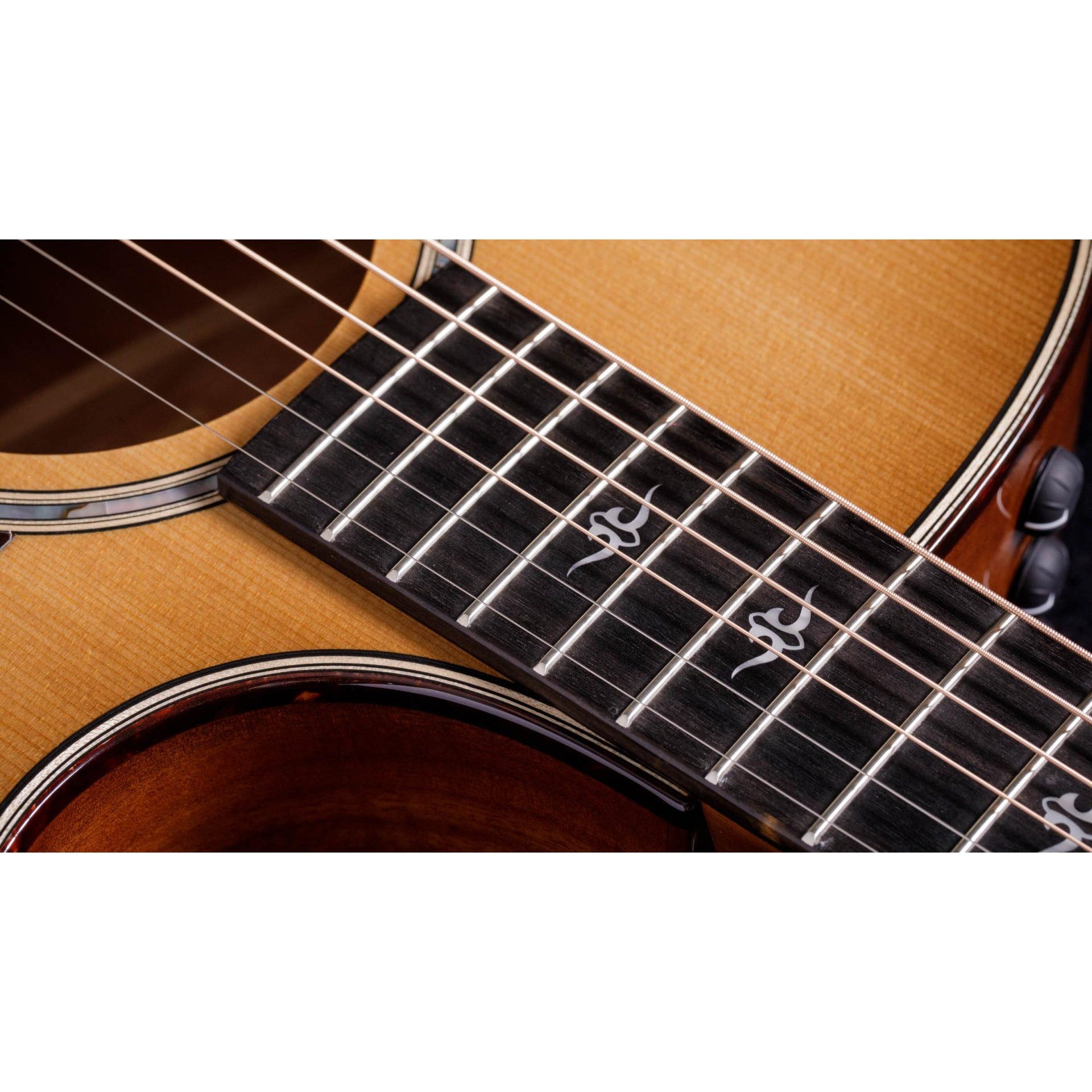 Đàn Guitar Acoustic Taylor 514CE - Grand Auditorium - Việt Music