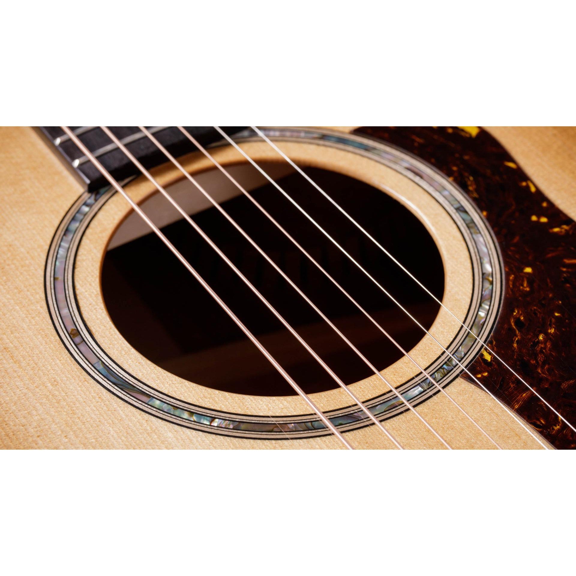 Đàn Guitar Acoustic Taylor 514CE - Grand Auditorium - Việt Music