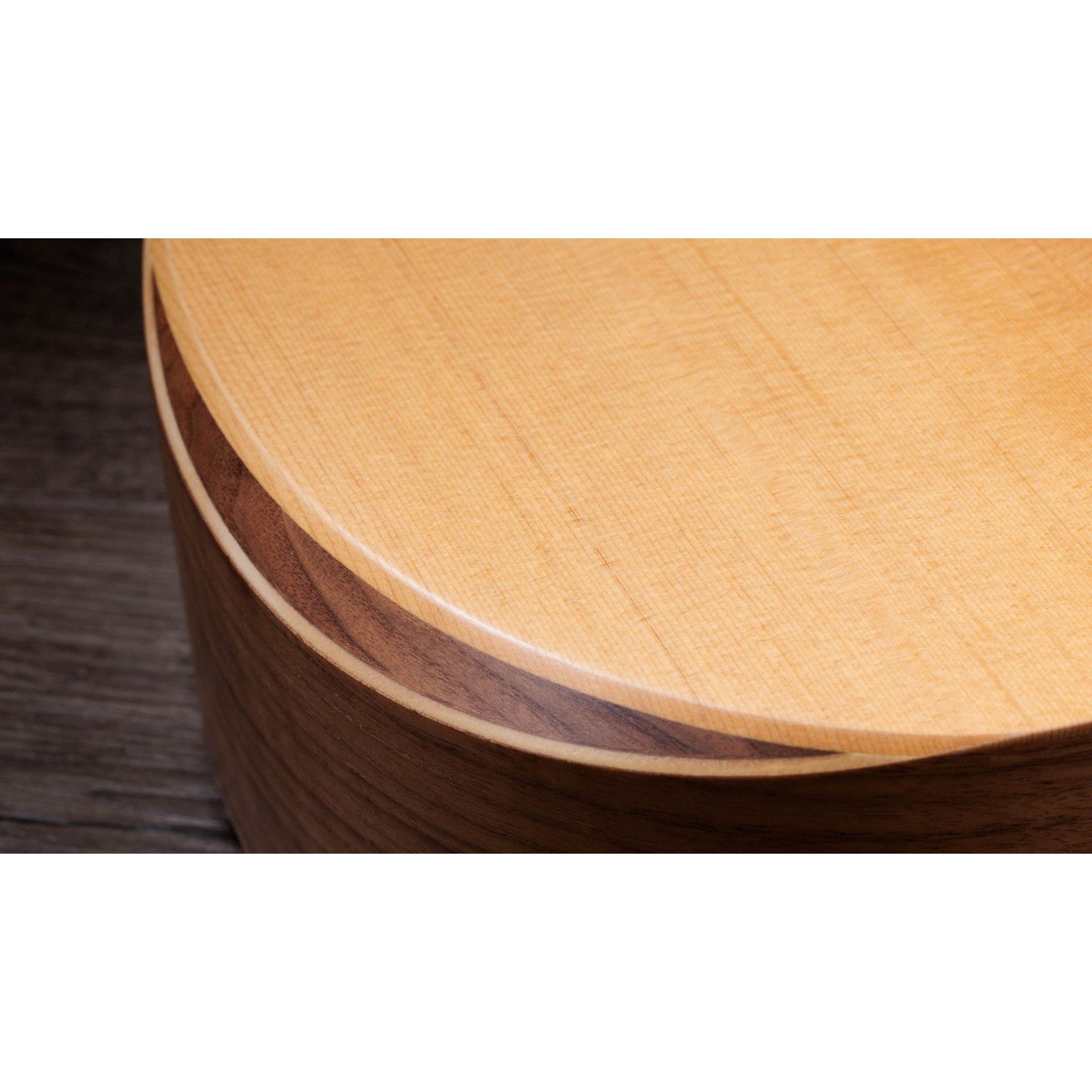 Đàn Guitar Acoustic Taylor A10E - Dreadnought - Việt Music