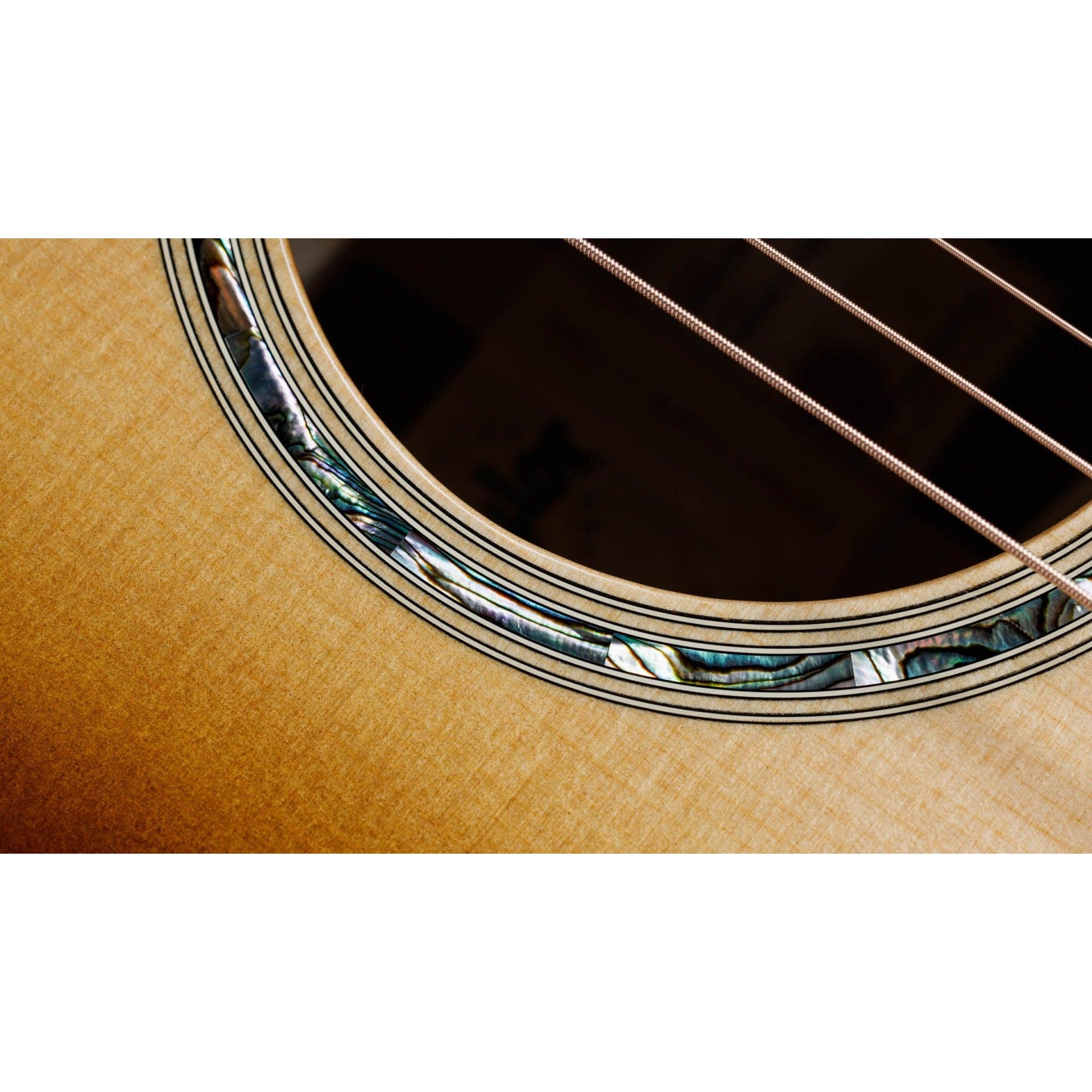 Đàn Guitar Acoustic Taylor 414CE Special Edition - Grand Auditorium - Việt Music