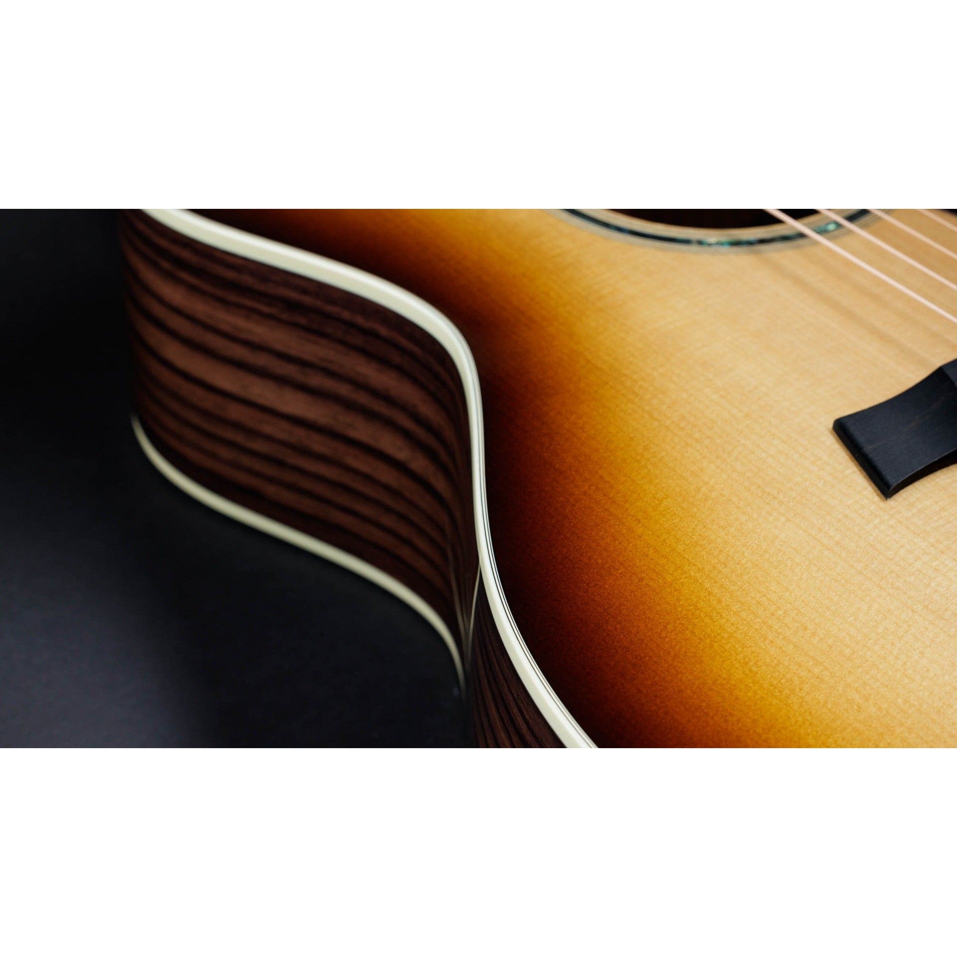 Đàn Guitar Acoustic Taylor 414CE Special Edition - Grand Auditorium - Việt Music