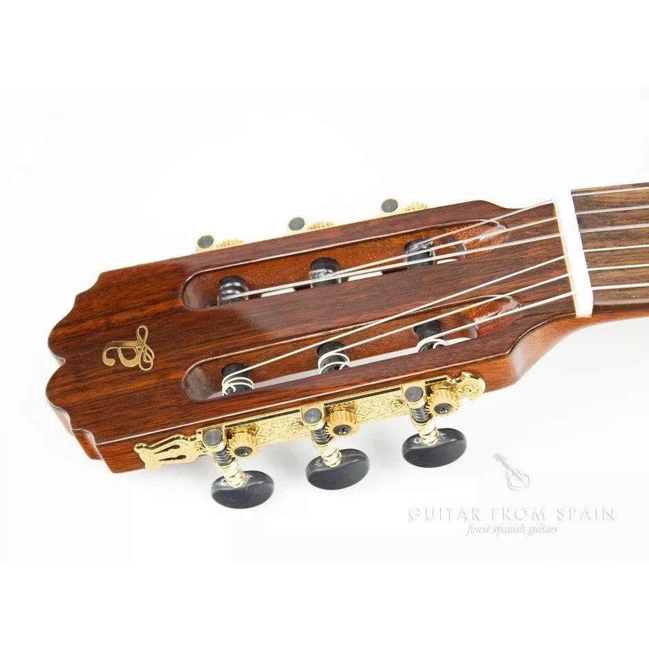 Đàn Guitar Classic Admira Virtuoso ECF - Việt Music