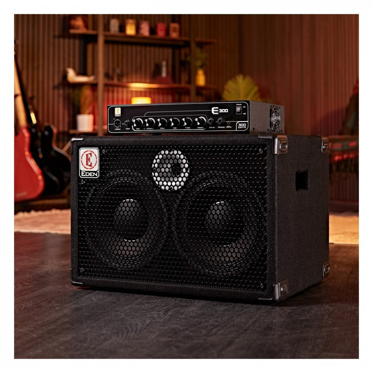 Amplifier Eden E Series EX210, Cabinet - Việt Music