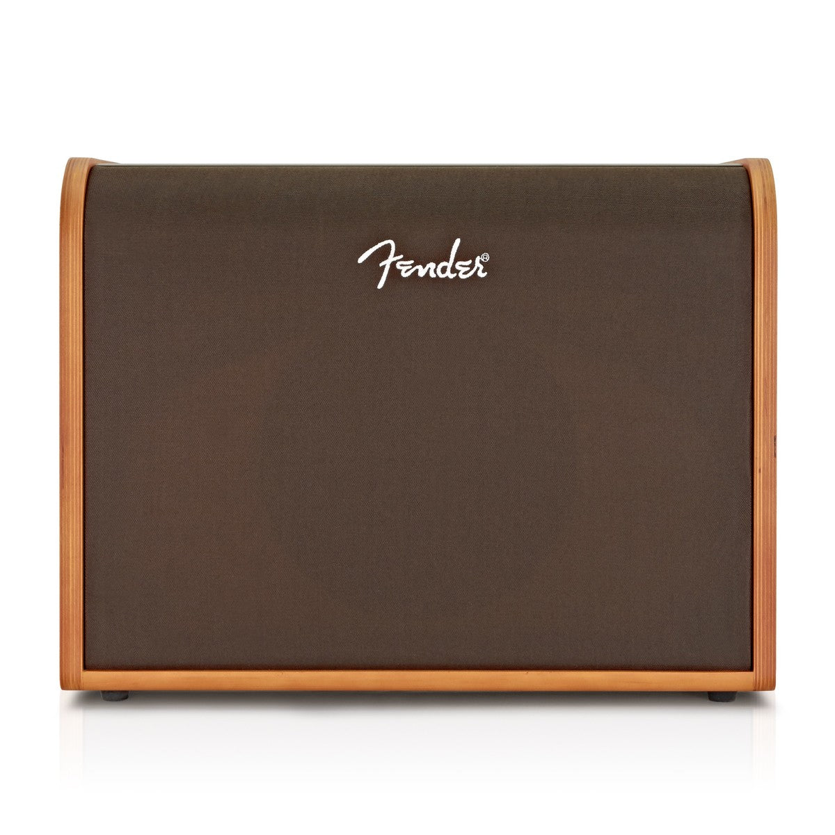 Amplifier Fender Acoustic 100, Combo - Việt Music