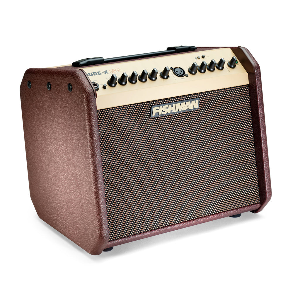 Amplifier Fishman Loudbox Mini Bluetooth, Combo - Việt Music