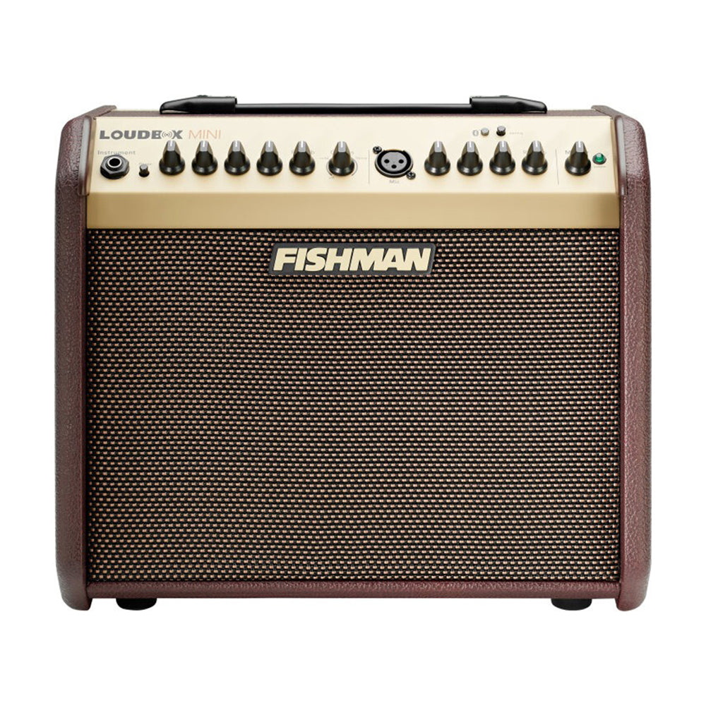 Fishman Loudbox Mini