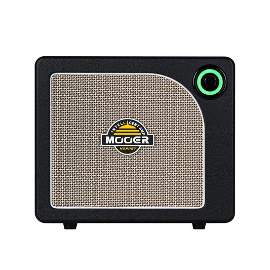 Amplifier Mooer Hornet 15i, Combo - Việt Music