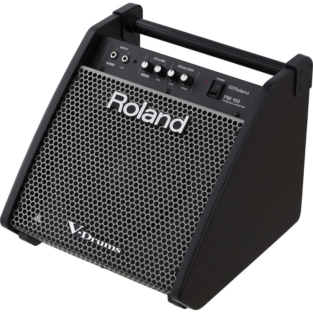 Amplifier Roland PM100, Combo - Việt Music