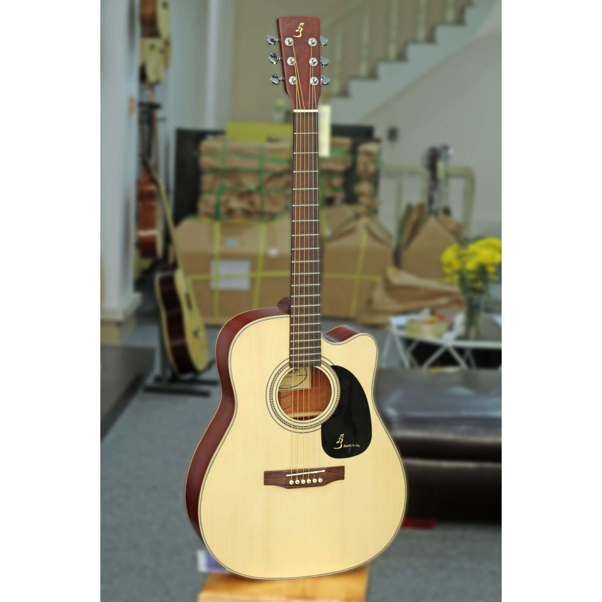 Đàn Guitar Ba Đờn J200 Acoustic - Việt Music