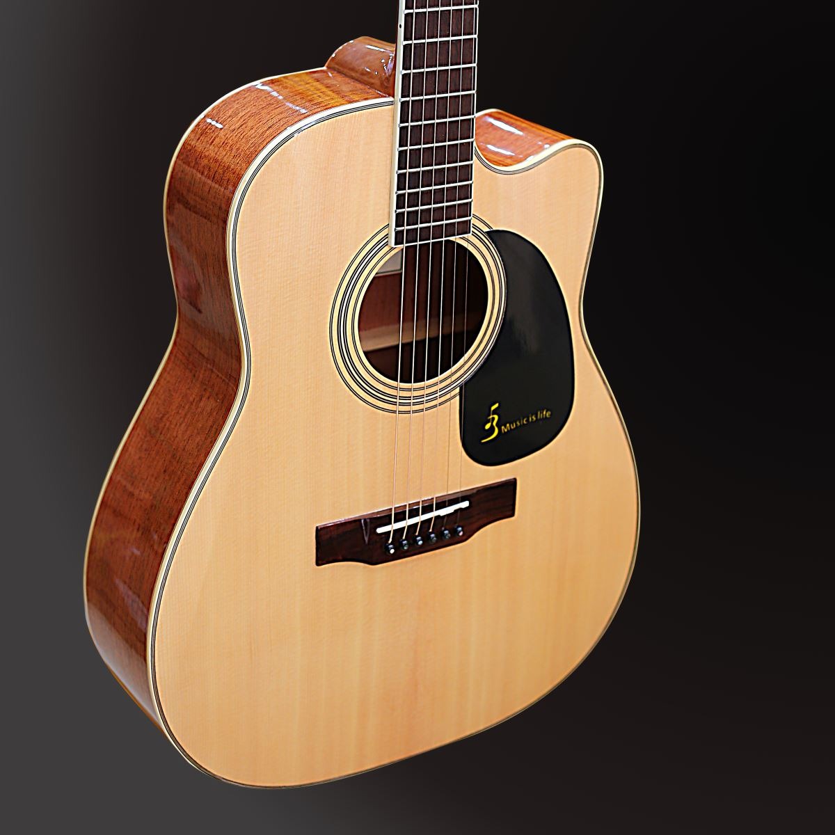 Đàn Guitar Ba Đờn J260 Acoustic - Việt Music