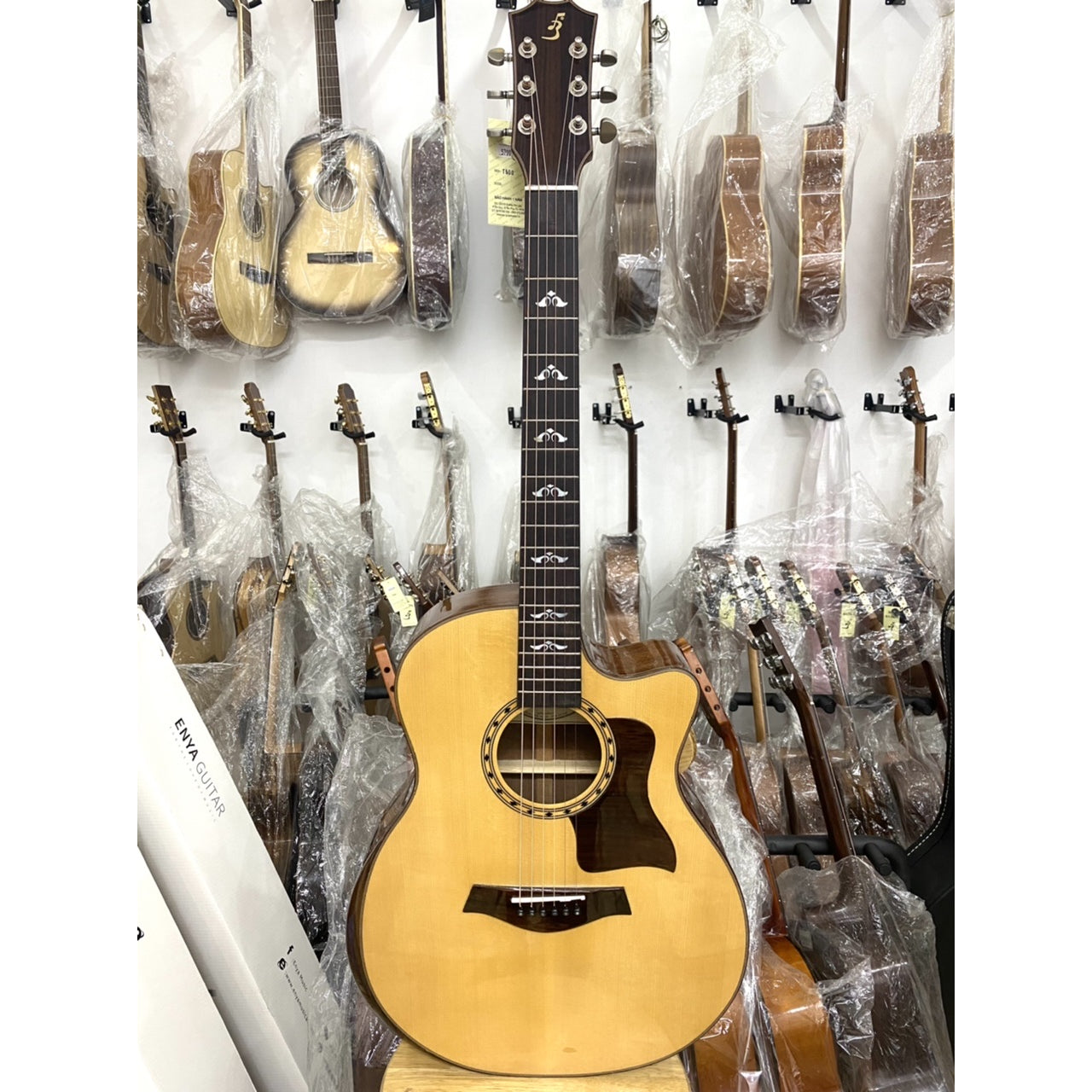 Đàn Guitar Ba Đờn T500 Acoustic - Việt Music