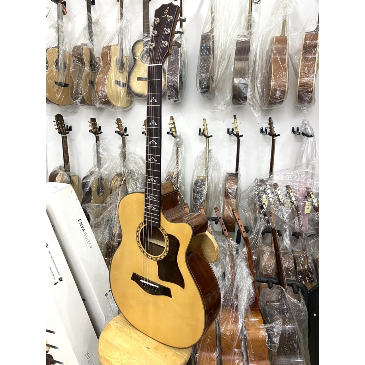 Đàn Guitar Ba Đờn T500 Acoustic - Việt Music