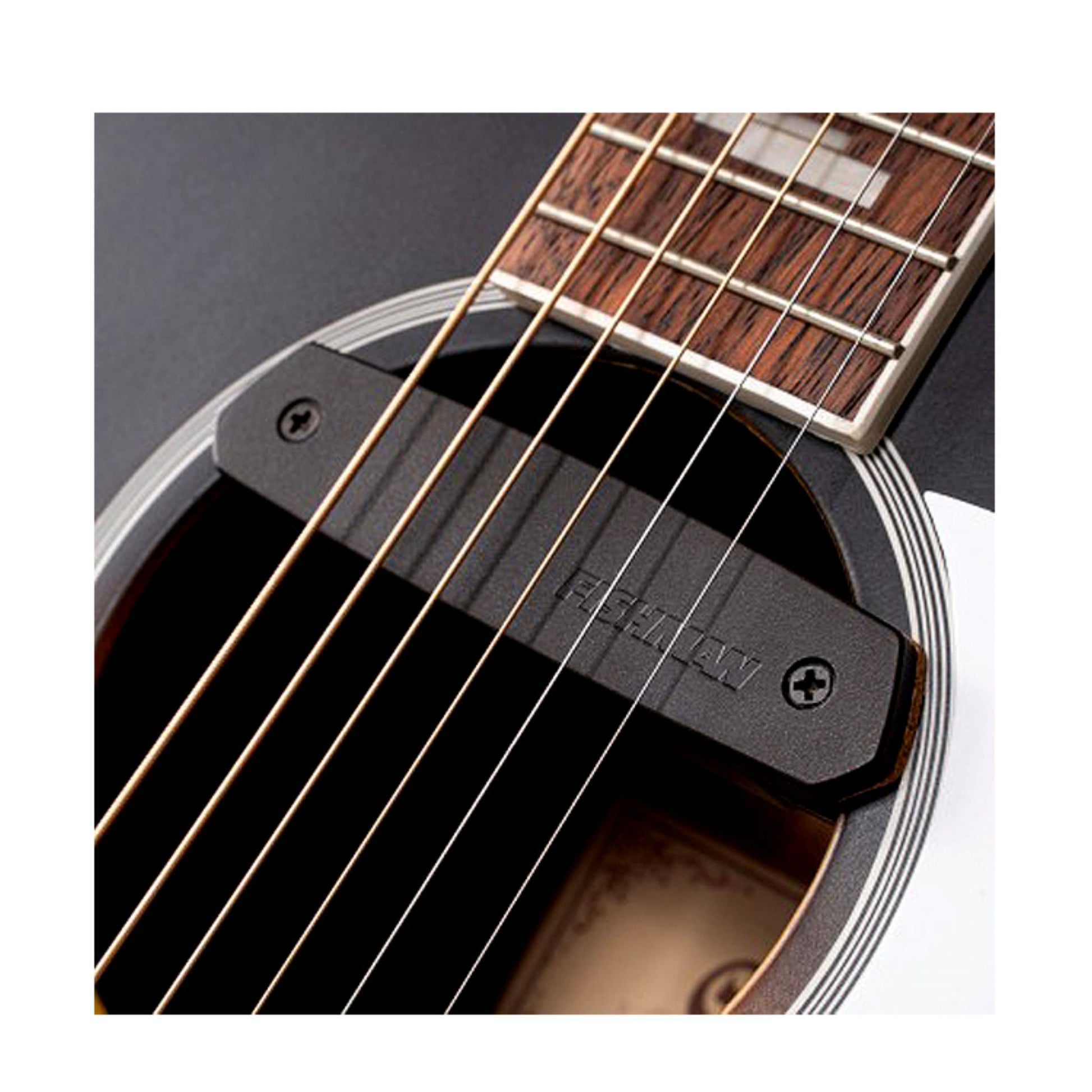 Đàn Guitar Acoustic Cort CJ Retro - Việt Music