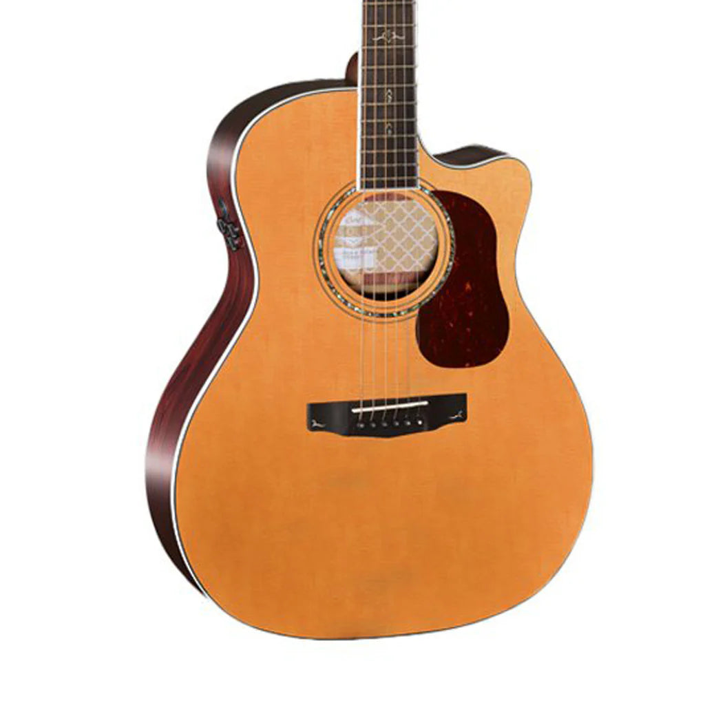 Đàn Guitar Acoustic Cort Gold-A8 - Việt Music