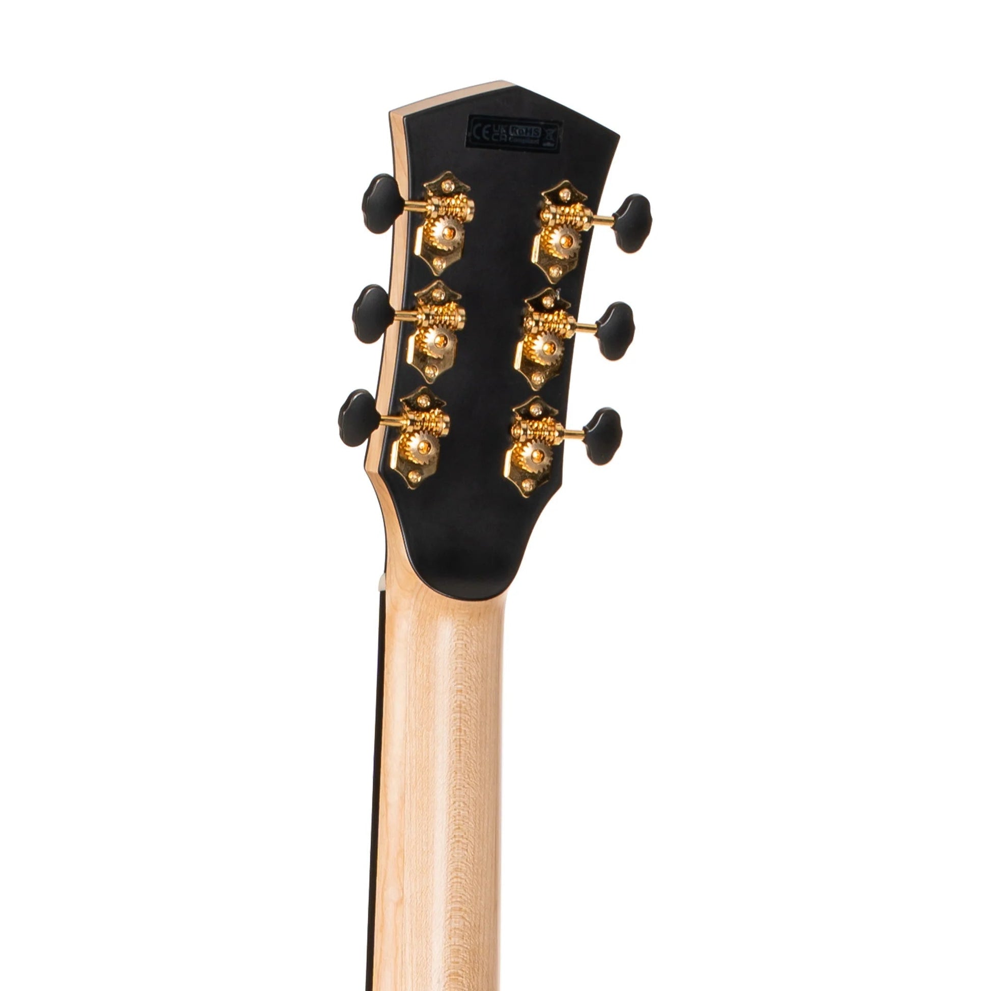 Đàn Guitar Acoustic Cort Gold-Passion, Natural Glossy - Việt Music