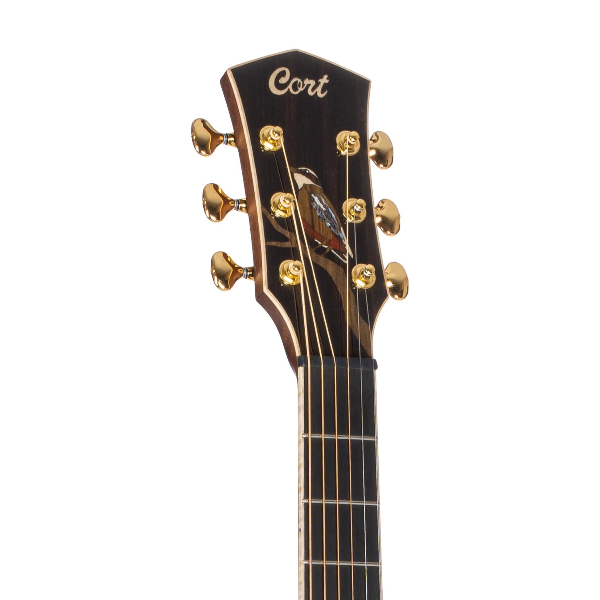 Đàn Guitar Acoustic Cort Little Forest Angel Limited Edition, Natural Glossy - Việt Music