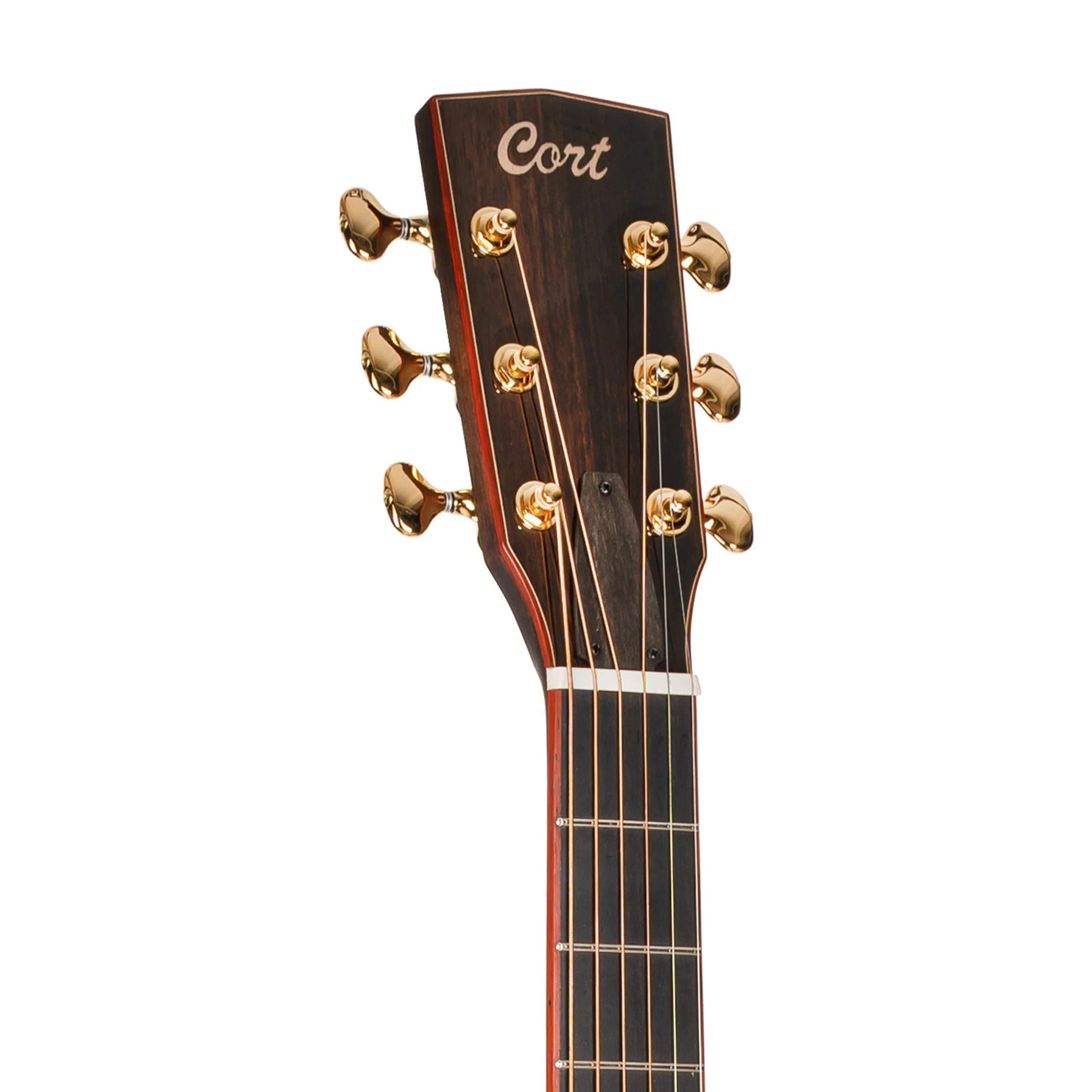 Đàn Guitar Acoustic Cort Roselyn Redux, Natural Glossy - Việt Music